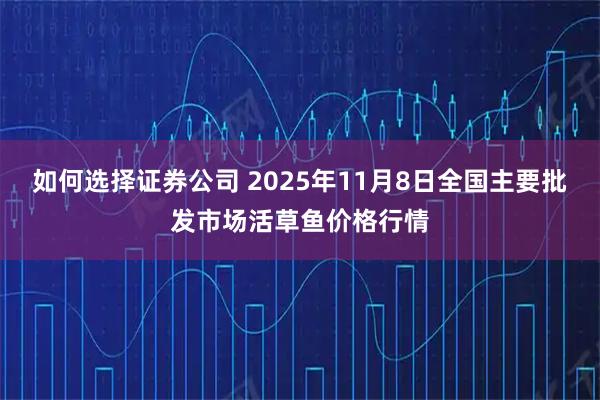 如何选择证券公司 2025年11月8日全国主要批发市场活草鱼价格行情
